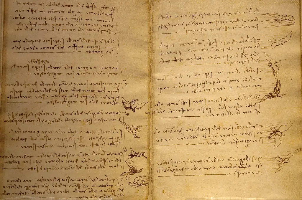 Codex on the Flight of Birds in Detail Leonardo da Vinci